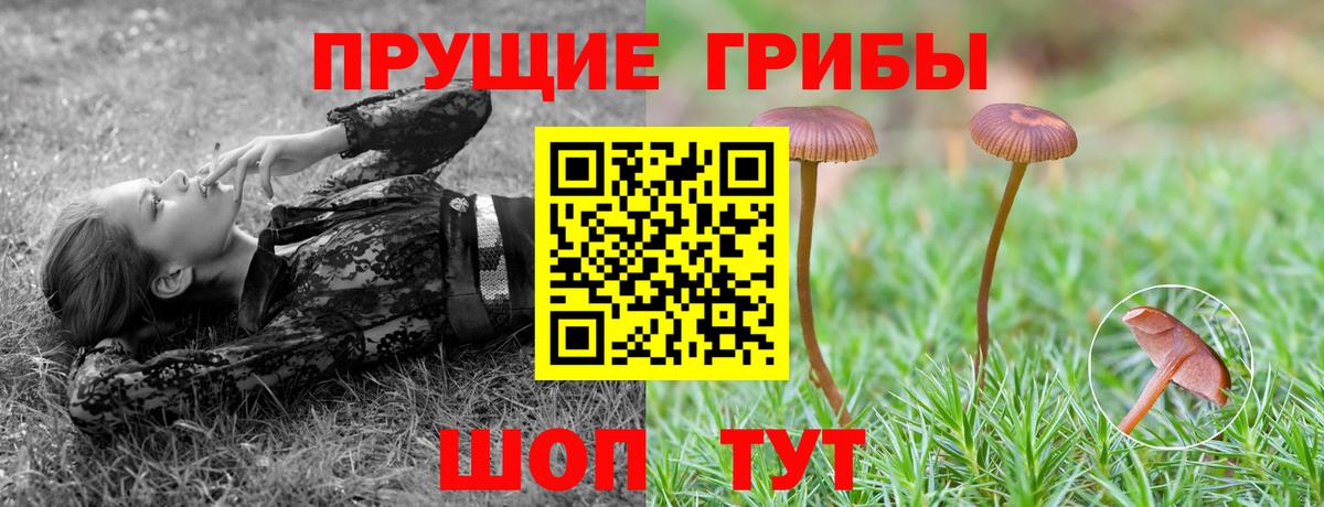 Галлюциногенные грибы Cubensis Октябрьский